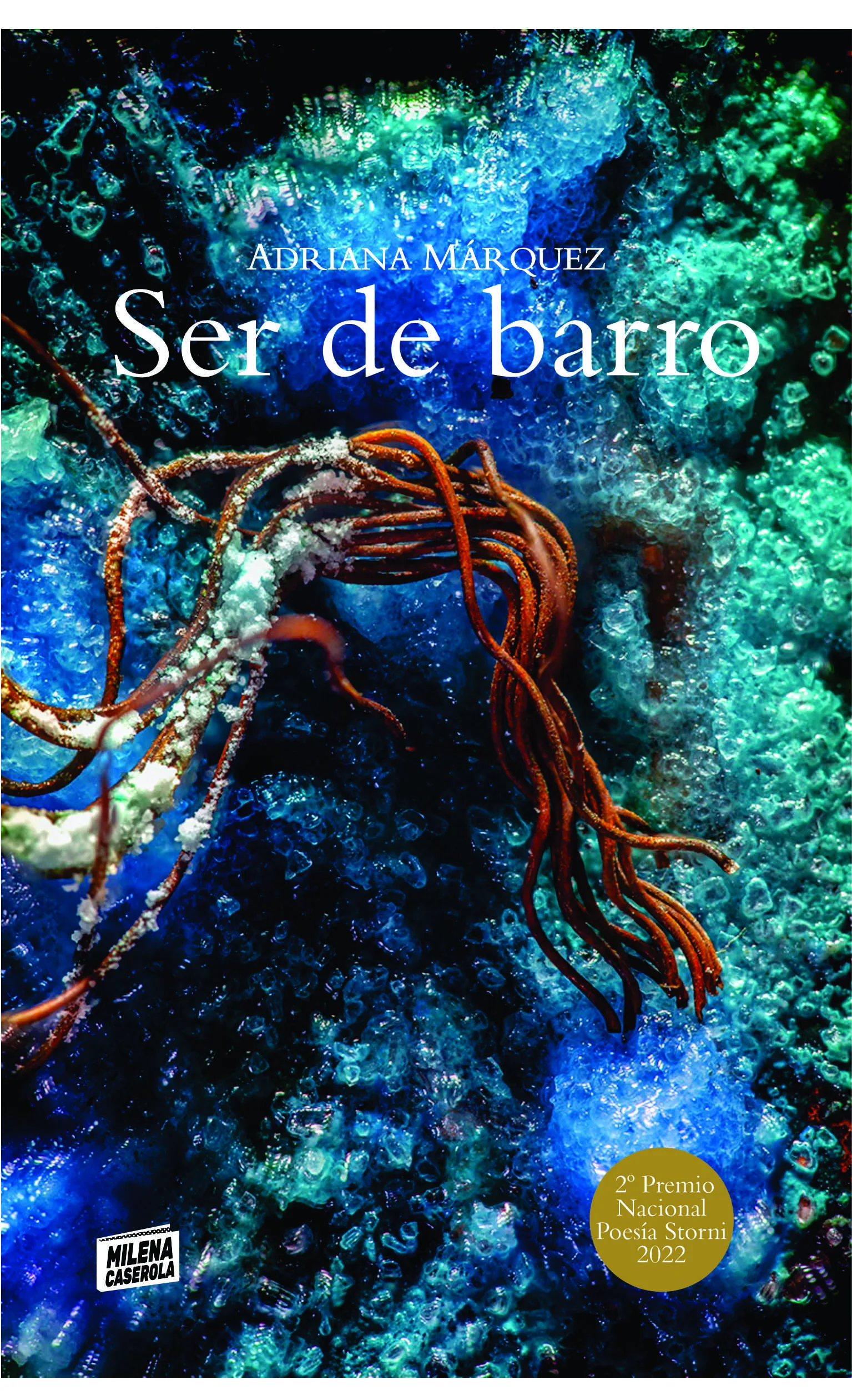 Ser de barro