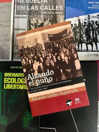 Alzando el puño